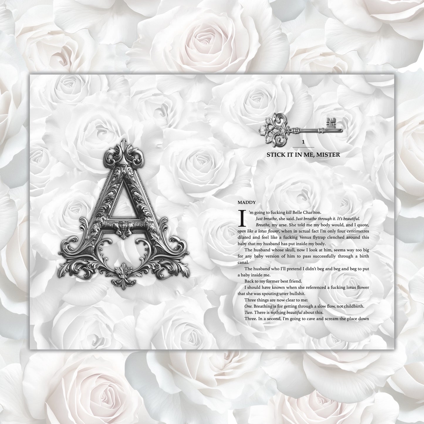 Always Alchemy Limited Edition Hardback