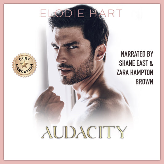 Audacity Audiobook