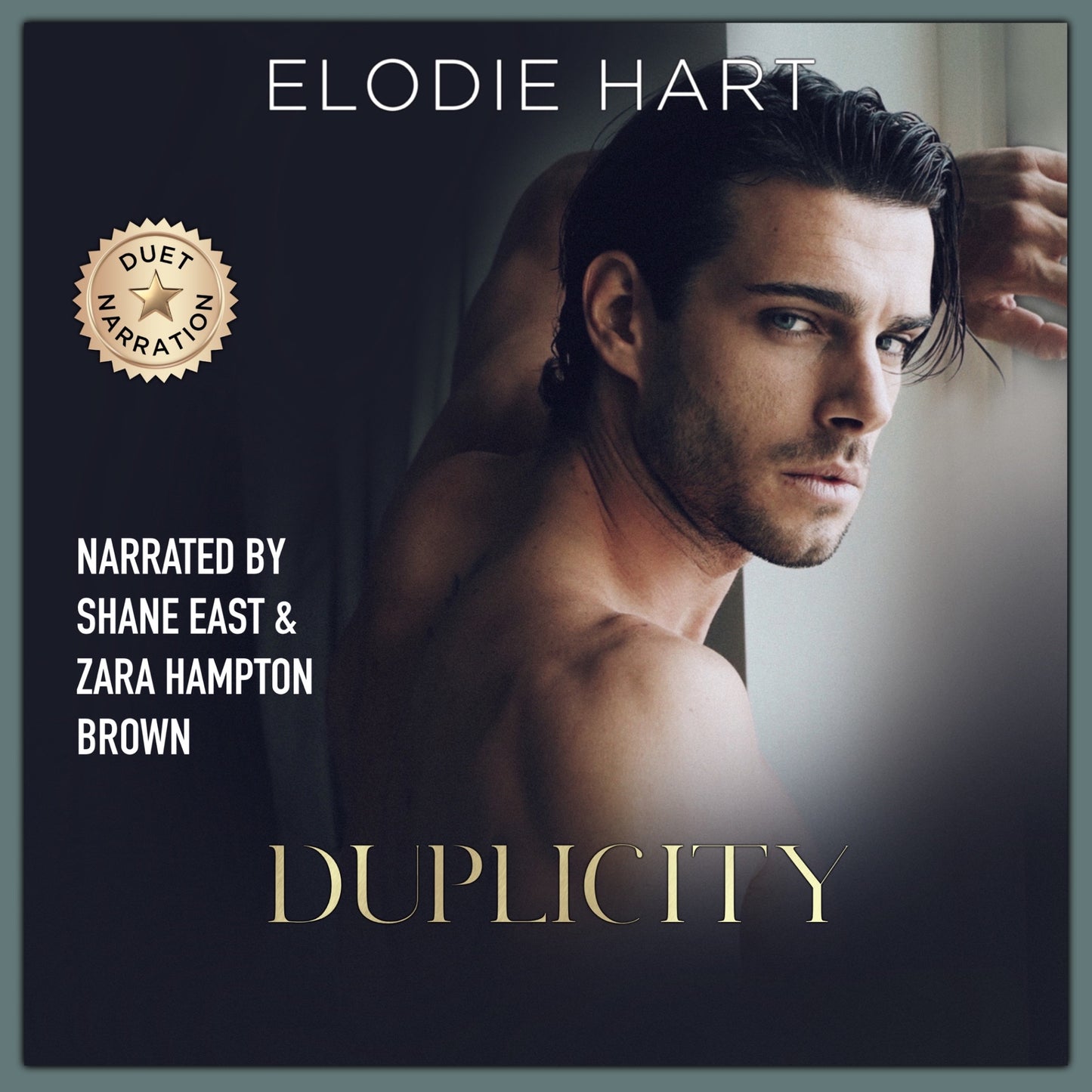 Duplicity Audiobook